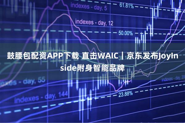 鼓腰包配资APP下载 直击WAIC｜京东发布JoyInside附身智能品牌