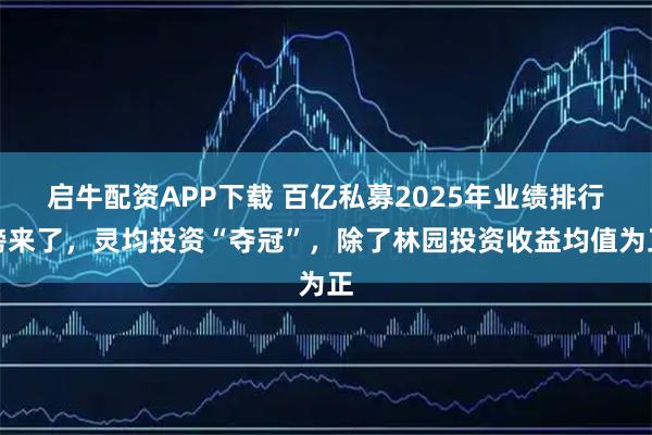 启牛配资APP下载 百亿私募2025年业绩排行榜来了，灵均投资“夺冠”，除了林园投资收益均值为正