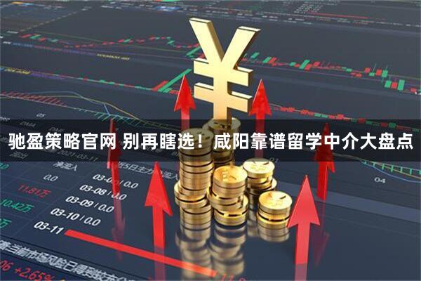 驰盈策略官网 别再瞎选！咸阳靠谱留学中介大盘点